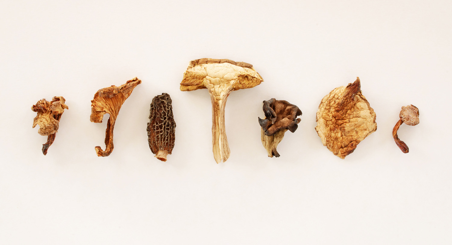 Suszone grzyby w szklanych słoikach