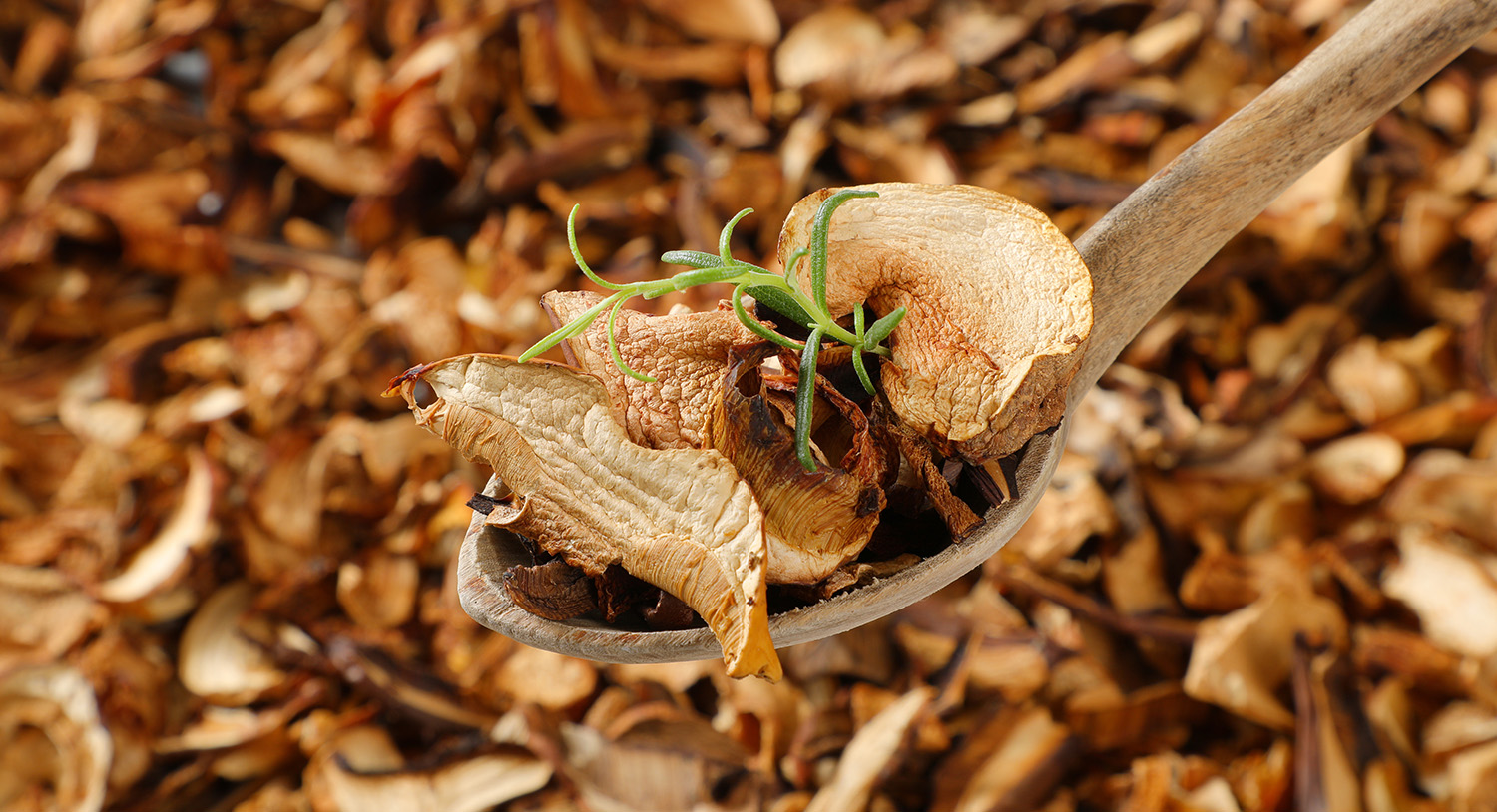 Suszone grzyby na drewnianej łyżce