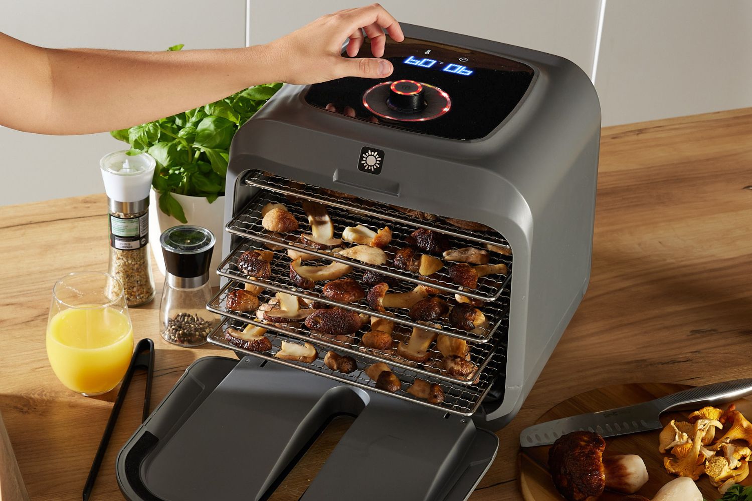 Prawidłowe suszenie grzyb&oacute;w