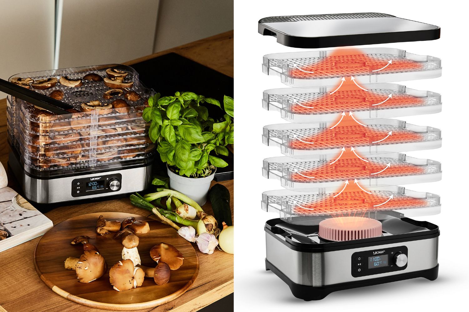 suszone-owoce-suszenie-owoców-gorąca-herbata-miód-cynamon-herbatka-suszone-pomarańcze