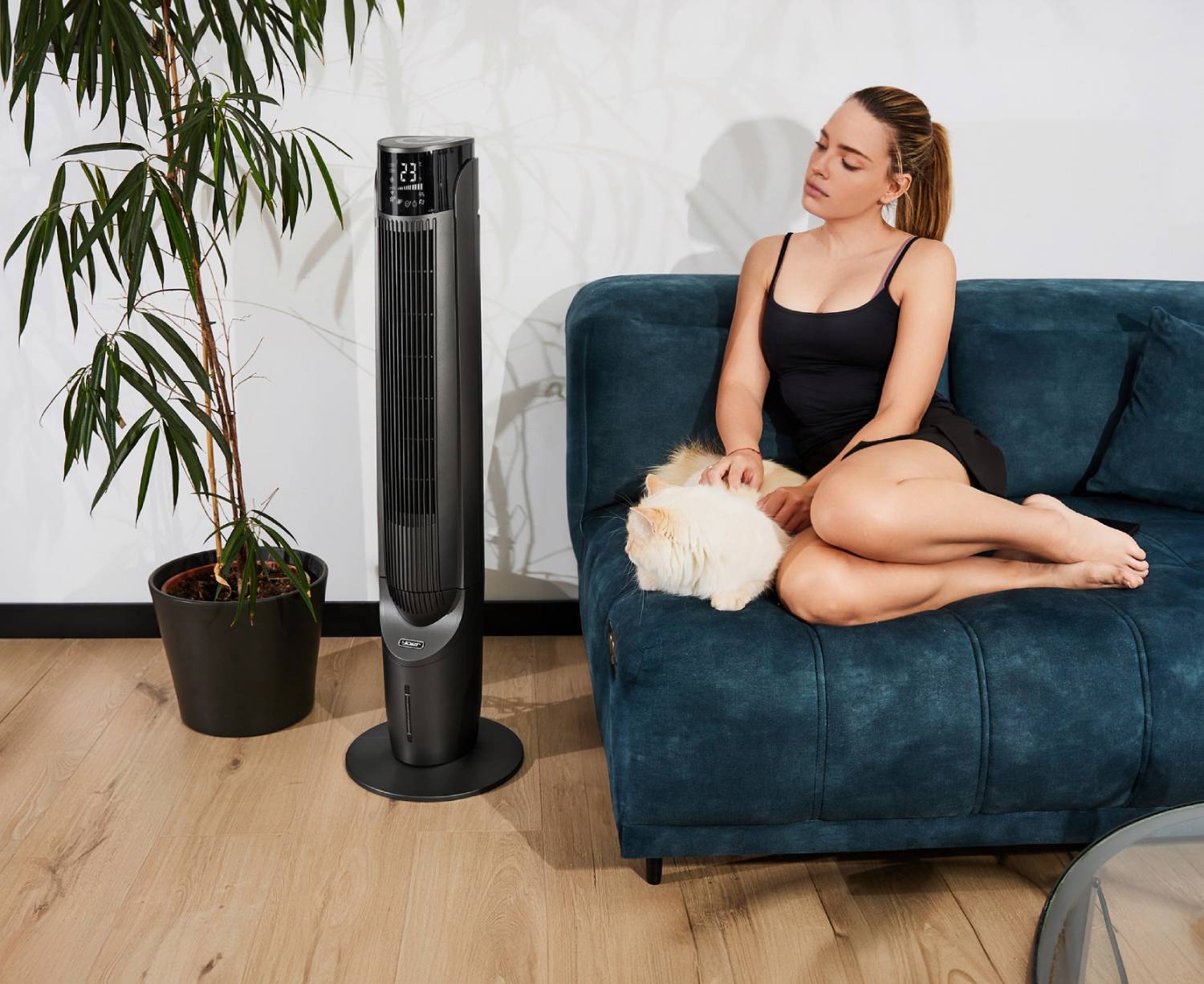 wentylator z nawilżaczem powietrza


<p style=