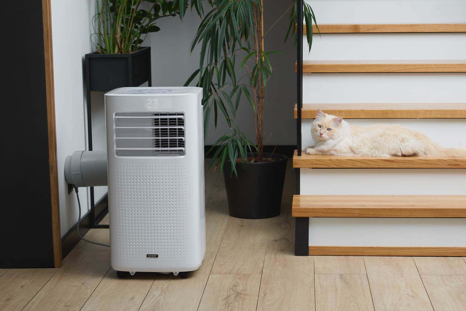  Klimatyzator z funkcją grzania czy warto?

<p style=