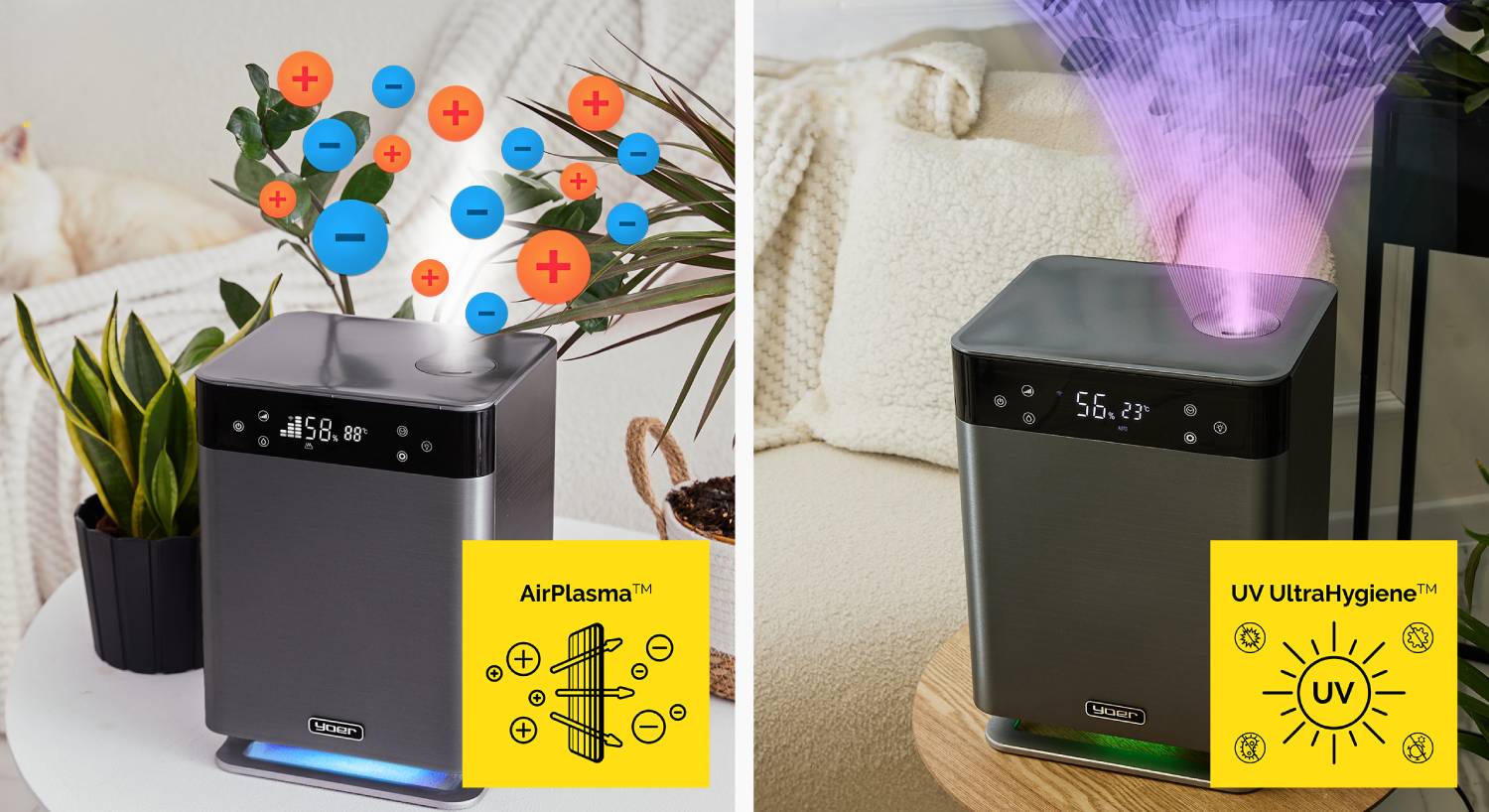  nawilzacz yoer aqua cube