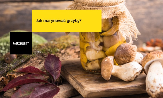 Jak marynować grzyby w occie? 3 najlepsze przepisy na marynowane grzyby
