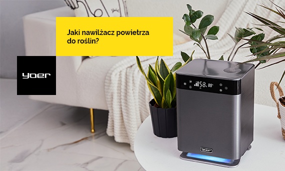 Jaki nawilżacz powietrza do roślin? Poradnik