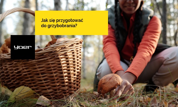 Grzybobranie — kiedy do lasy na grzyby? ? Jak się przygotować na grzyby?