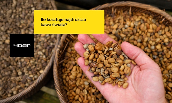 Ile kosztuje najdroższa kawa świata? Poradnik