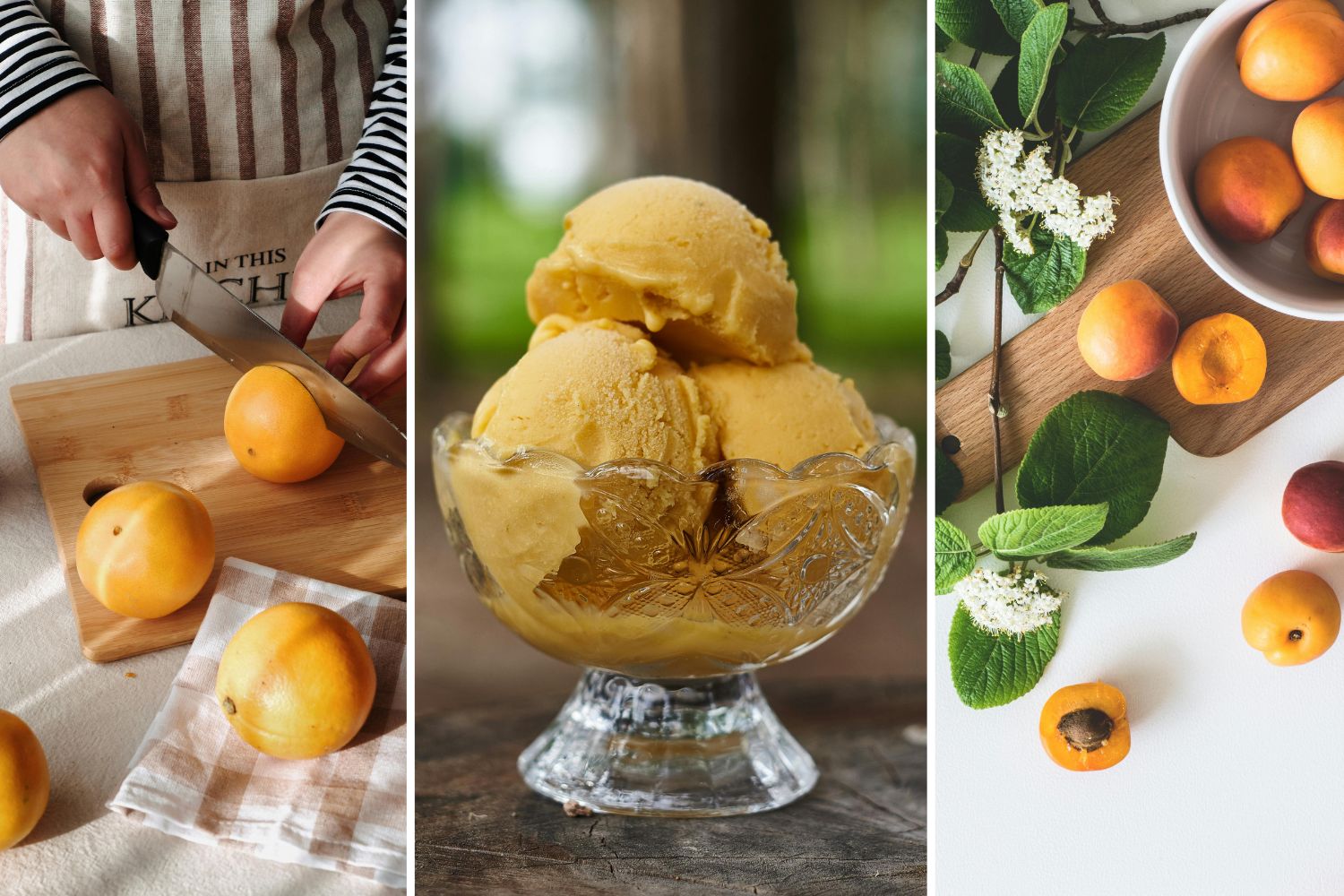 "sorbet